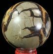 Polished Septarian Sphere - Madagascar #67860-1